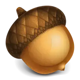 Acorn 8.1.0