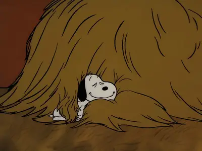 Life Is a Circus, Charlie Brown (1980)