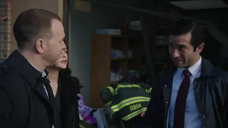 Blue Bloods S08E13