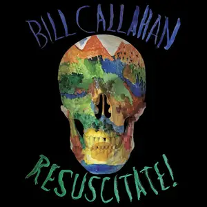 Bill Callahan - Resuscitate! (2024) [Official Digital Download 24/96]