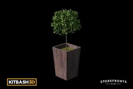 Kitbash: Storefronts - Potted Small Tree ZA6T3WV
