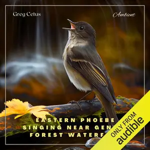 Eastern Phoebe Singing Near Gentle Forest Waterfall: Natural Ambience for Coding and Meditation