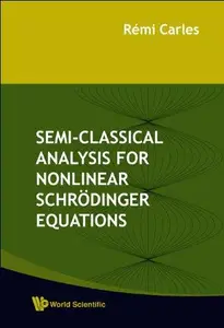 Semi-Classical Analysis For Nonlinear Schrodinger Equations