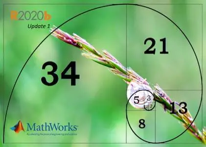 Mathworks Matlab R2020b Update 1