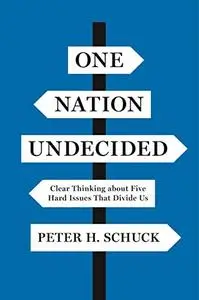 One Nation Undecided: Clear Thinking about Five Hard Issues That Divide Us