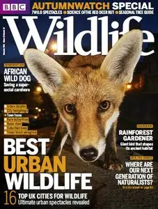 BBC Wildlife Magazine November 2014 (True PDF)