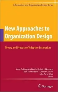 New Approaches to Organization Design: Theory and Practice of Adaptive Enterprises (repost)
