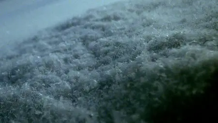 Into the Mind (2013)