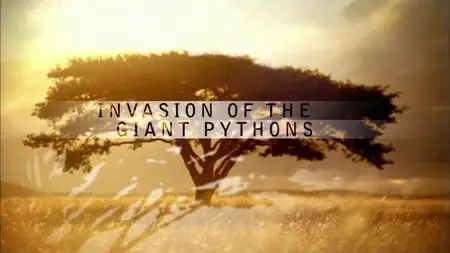 PBS - Nature: Invasion of the Giant Pythons (2010)