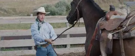 The Rider (2017)