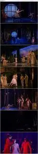 Matthew Bourne, Brett Morris, The Sleeping Beauty Orchestra - Tchaikovsky: The Sleeping Beauty (2013) [Blu-Ray]
