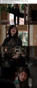 Brothers & Sisters S05E13