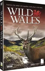BBC - Wild Wales (2010)