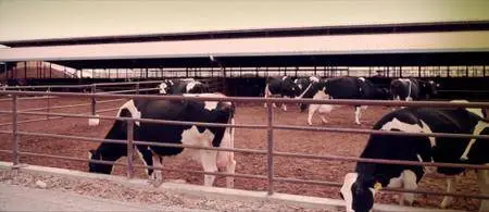 Cowspiracy: The Sustainability Secret (2014)