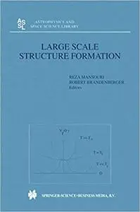 Large Scale Structure Formation