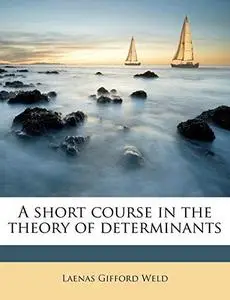 A short course in the theory of determinants