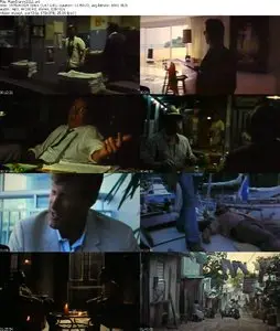 The Rum Diary (2011)