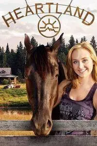 Heartland S11E16