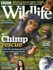 BBC Wildlife Magazine – December 2019