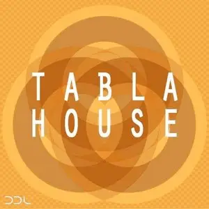 Deep Data Loops - Tabla House WAV