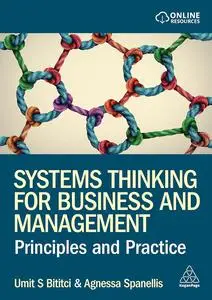 Systems Thinking for Business and Management: Principles and Practice