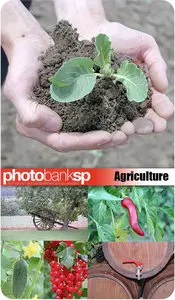 Agriculture