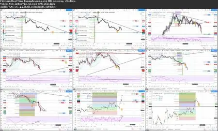 Fibonacci Technical Analysis Skill for Forex & Stock Trading
