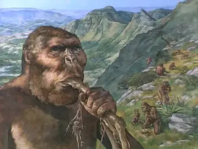A&E - Ape Man: The Story of Human Evolution (1994)