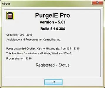 PurgeIE Pro 5.01 Build 5.1.0.384