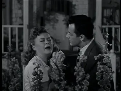 The Big Combo (1955)