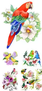 Birds Vector
