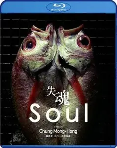 Soul / Shi hun (2013)