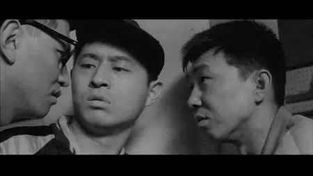 Pigs, Pimps & Prostitutes: 3 Films by Shohei Imamura (1961-1964) [The Criterion Collection ##471, 472, 473, 474] [Re-UP]