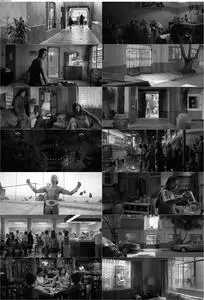 Roma (2018) [The Criterion Collection]