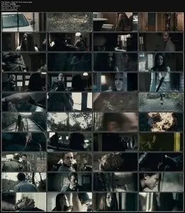 I Spit On Your Grave (2010)