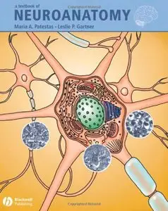 A Textbook of Neuroanatomy  [Repost]