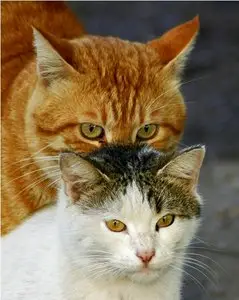 World In Photo 256