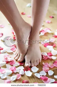 Vector feet and rose petals