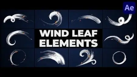 Wind Leaf Elements | After Effects 46207478