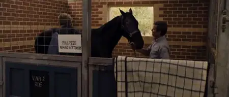 The Cup (2011)