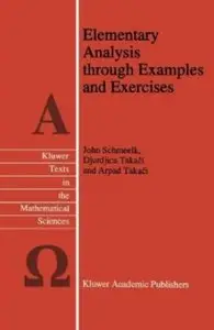 Elementary Analysis through Examples and Exercises