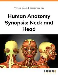 Human Anatomy Synopsis : Neck and Head