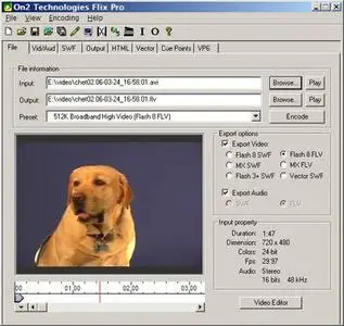 Flix Pro 8.5 for Flash