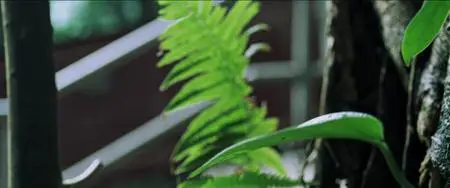 Gwai tung nei jyu (2021)