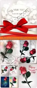 Card and banner with red rose vector