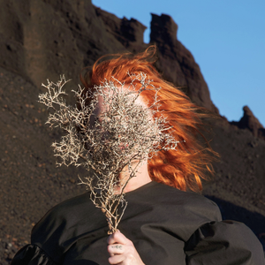 Goldfrapp - Silver Eye (2017)