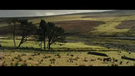 War Horse / Боевой конь (2011)