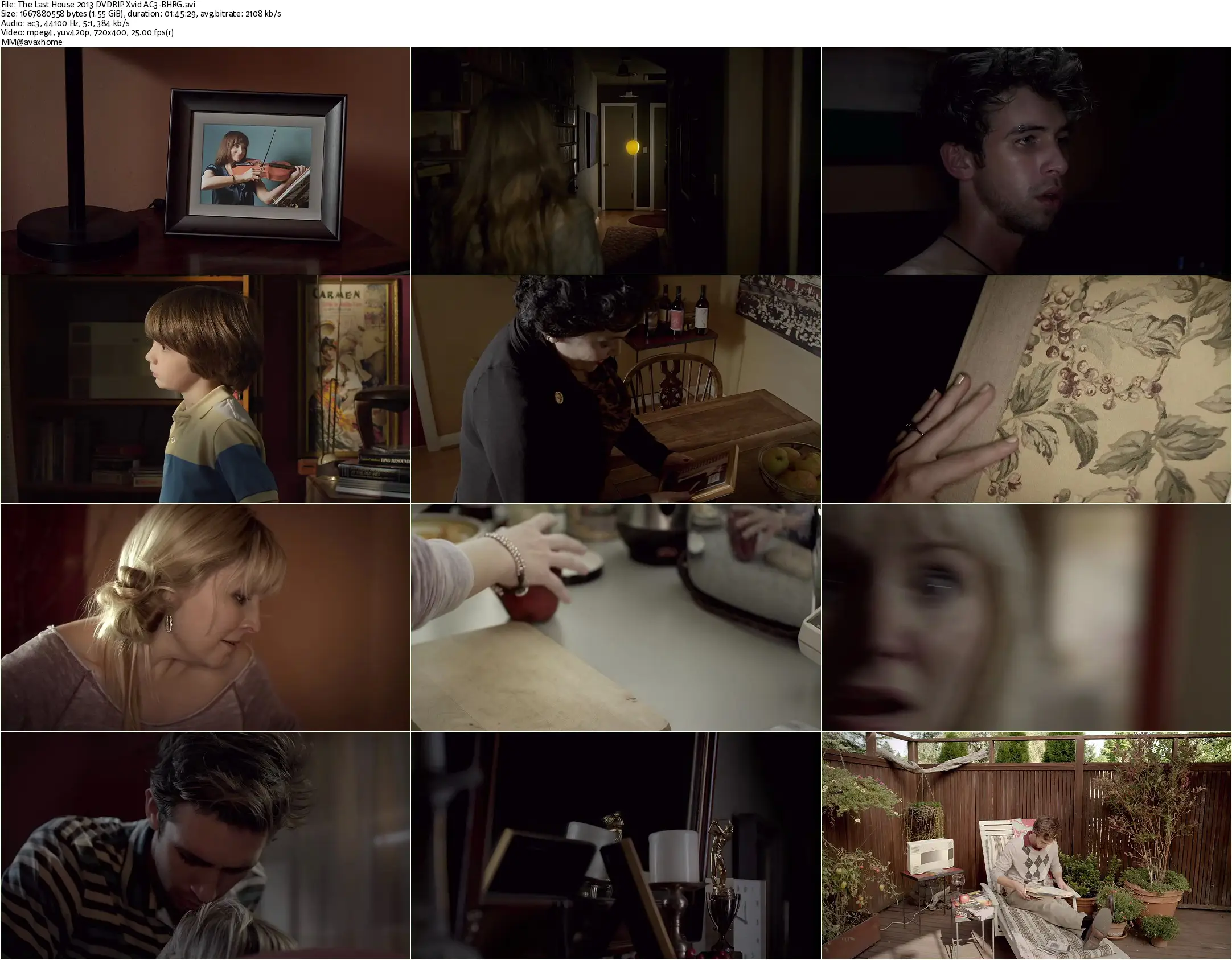 House of Last Things / The Last House (2013)