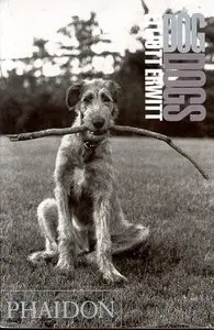 Dog Dogs