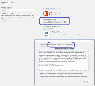 Microsoft Office 2016 Pro Plus 16.0.5095.1000 VL December 2020